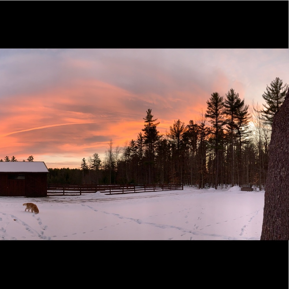 Meet your Posher, Abby